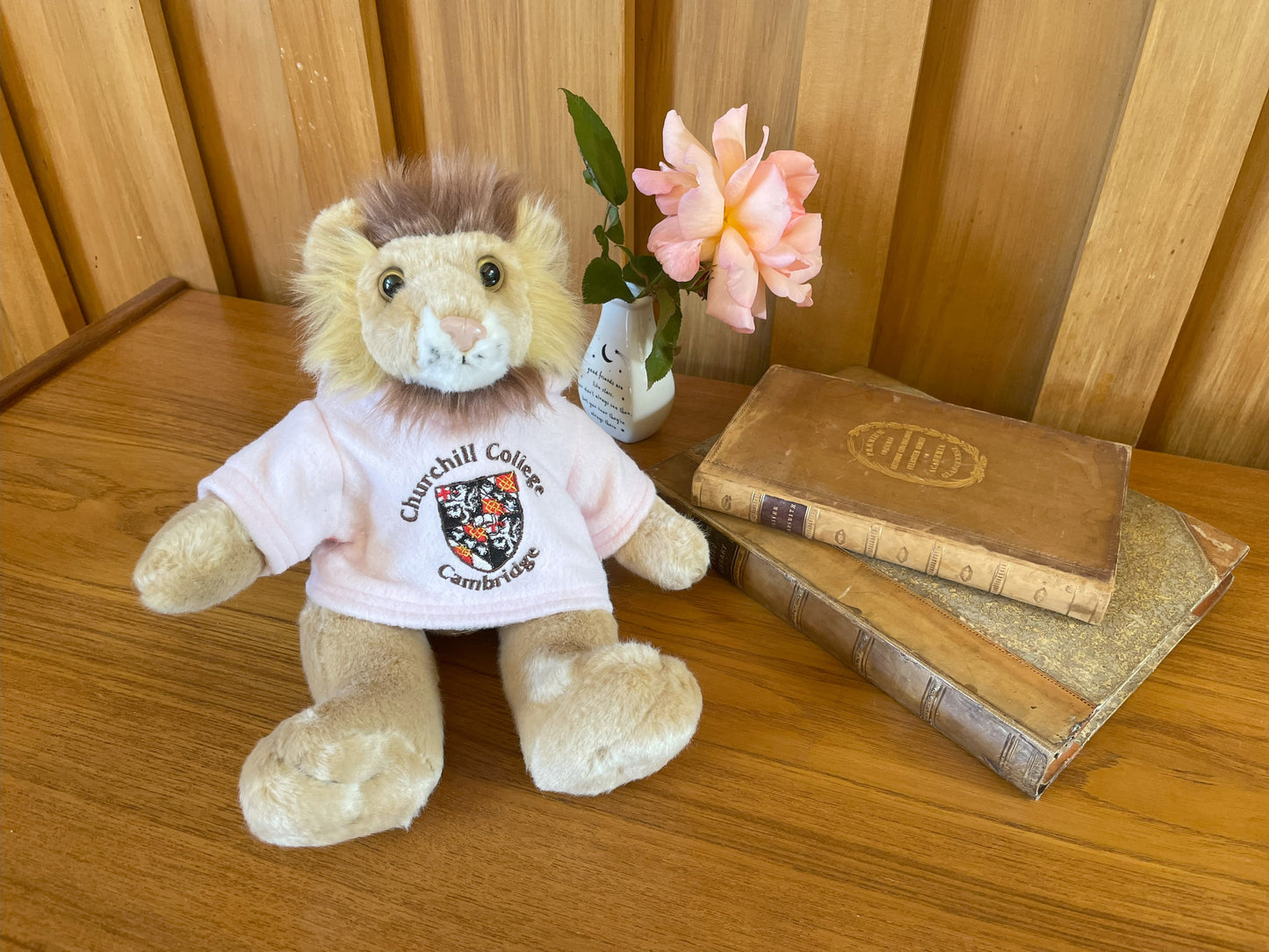 Churchill College Hoodie Lion
