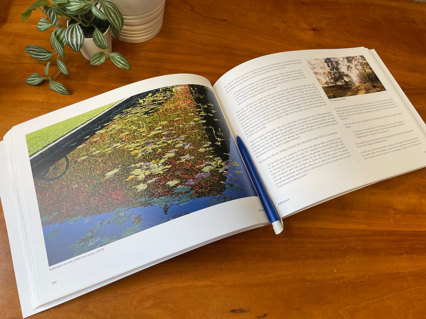 Portrait of a Landscape