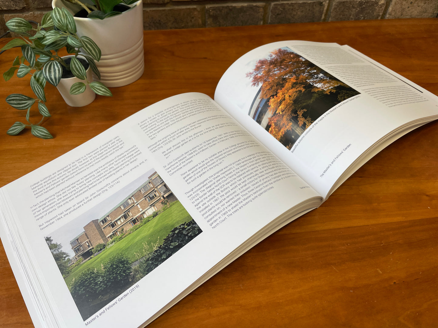 Portrait of a Landscape