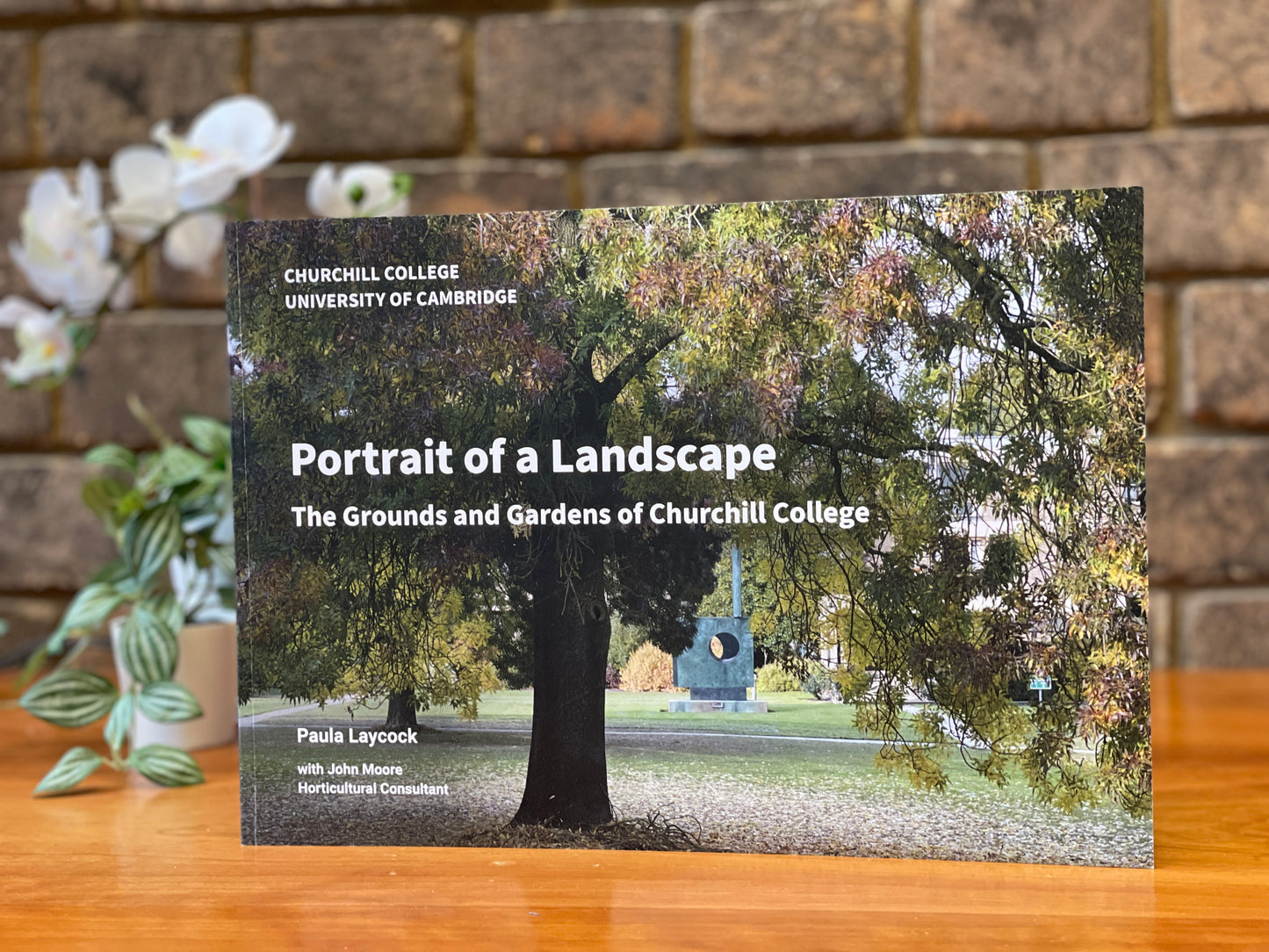 Portrait of a Landscape