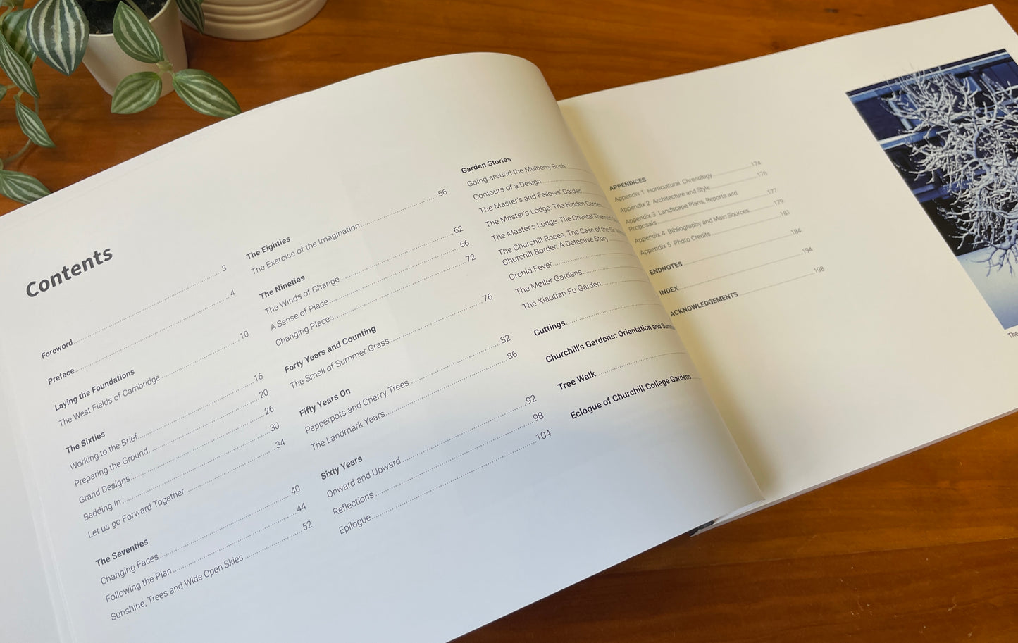 Portrait of a Landscape